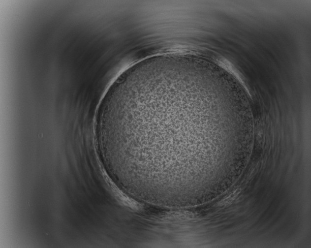 X0000052601091200507160004