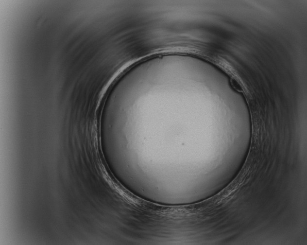 X0000052601092200507160004