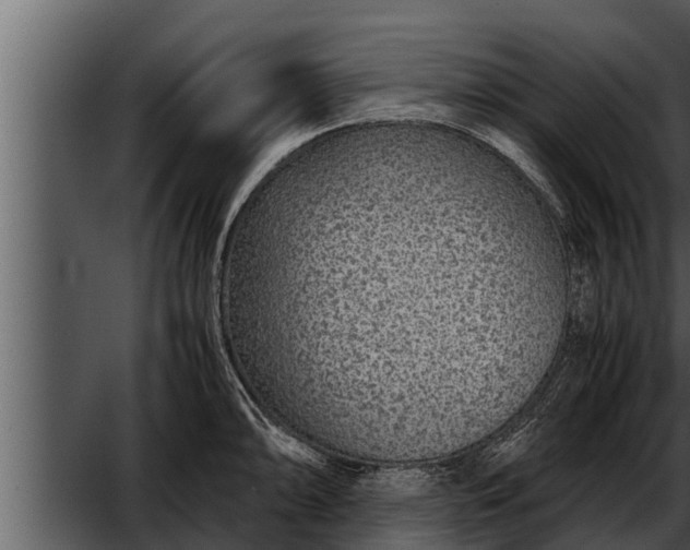 X0000052601094200507160004