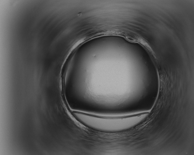 X0000052601095200507160004