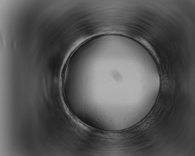 X0000052601096200507160004