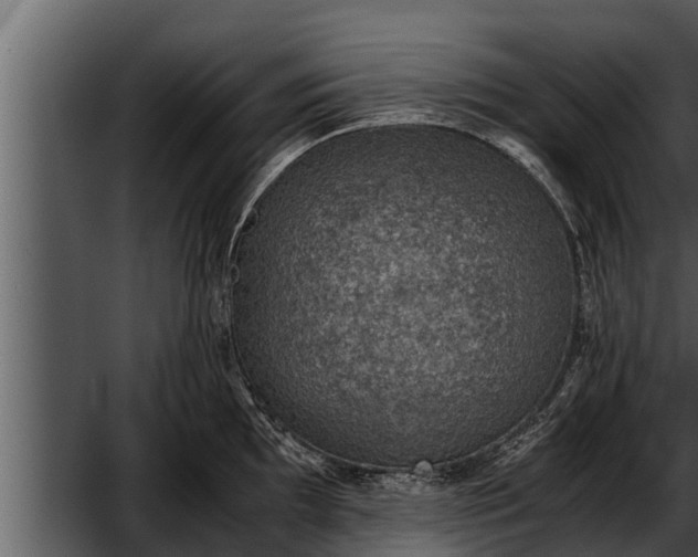 X0000052601097200507160004