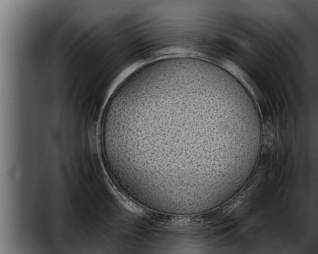 X0000052601098200507160004