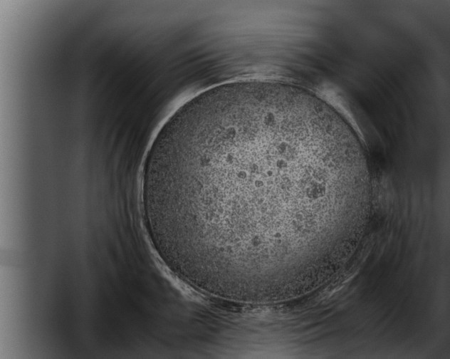 X0000052601099200507160004