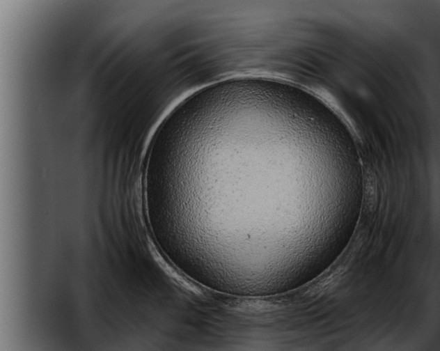 X0000052601100200507160004