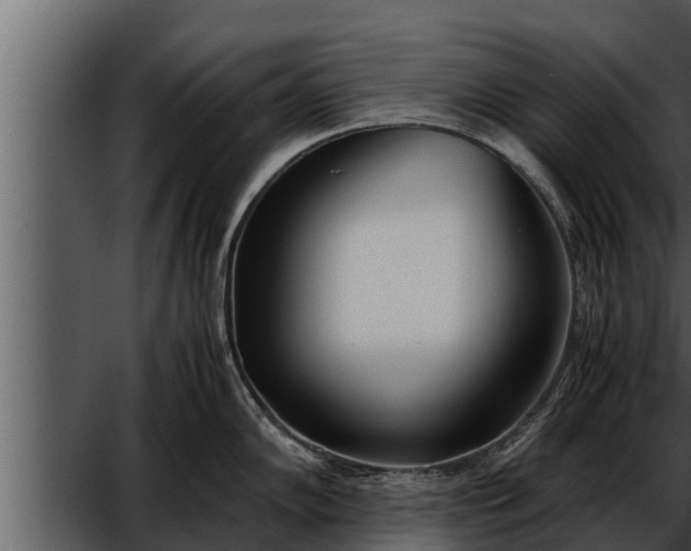 X0000052601102200507160004