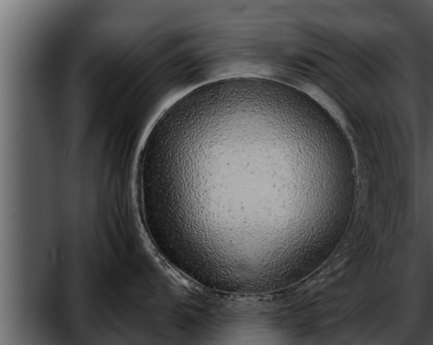 X0000052601104200507160004