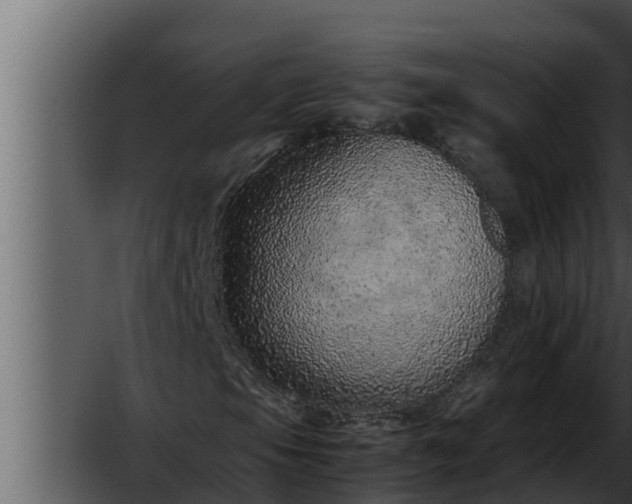 X0000052601105200507160003