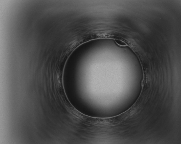 X0000052601106200507160003