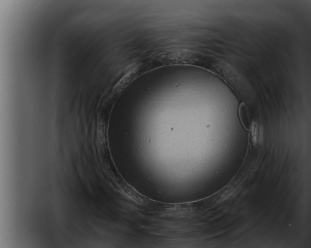 X0000052601107200507160003