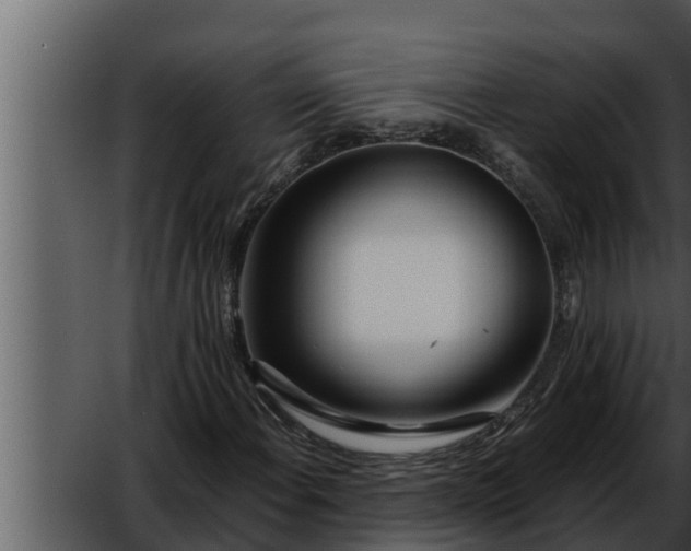 X0000052601108200507160003