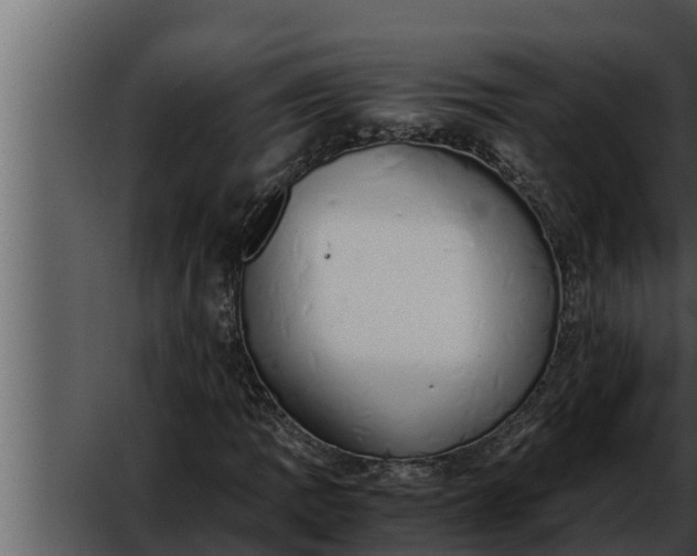 X0000052601109200507160003