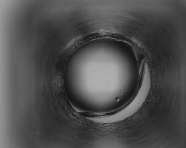 X0000052601110200507160003