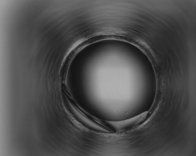 X0000052601114200507160004