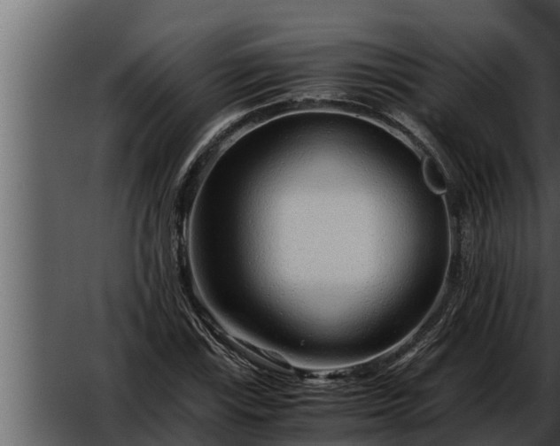 X0000052601115200507160004