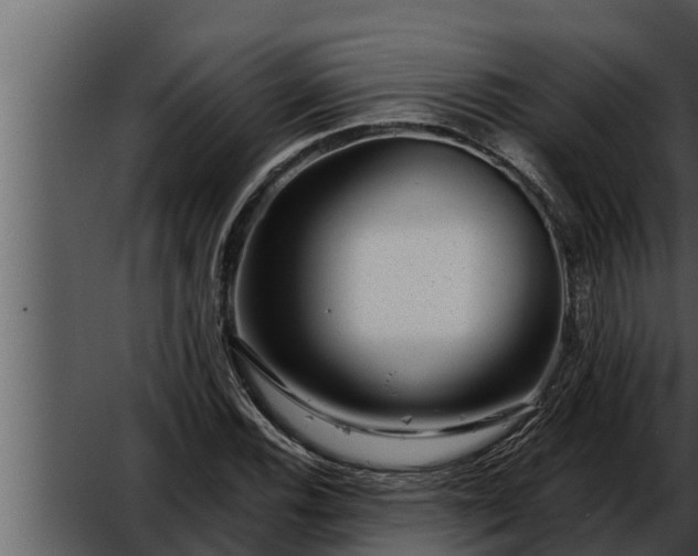 X0000052601116200507160004