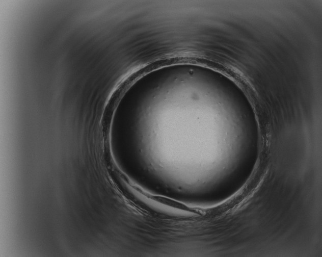 X0000052601117200507160004