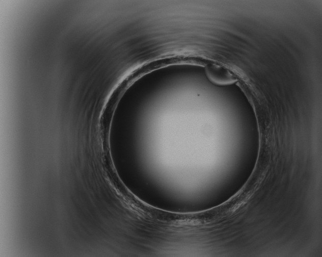 X0000052601118200507160004