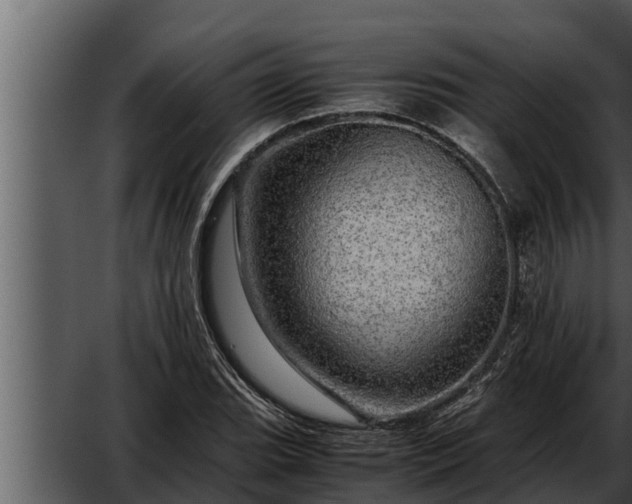 X0000052601119200507160004