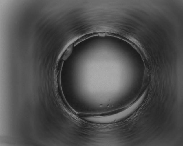 X0000052601120200507160004