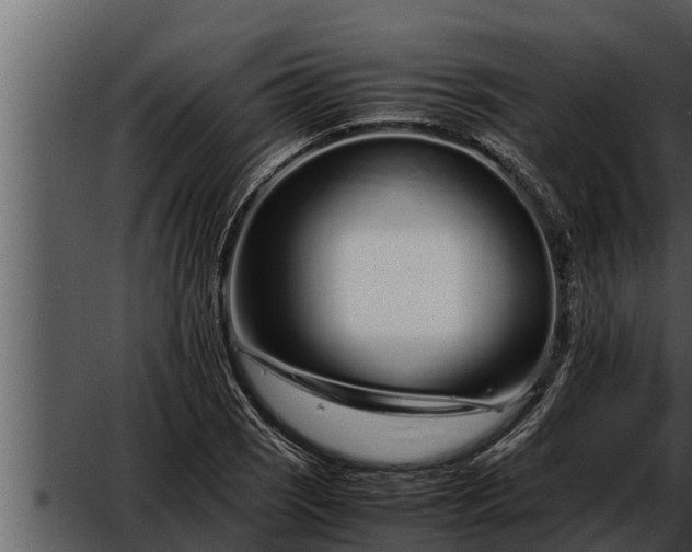 X0000052601121200507160004