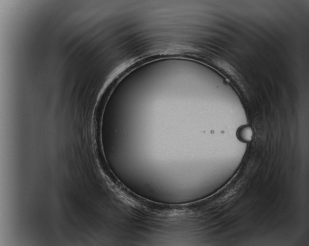 X0000052601122200507160004