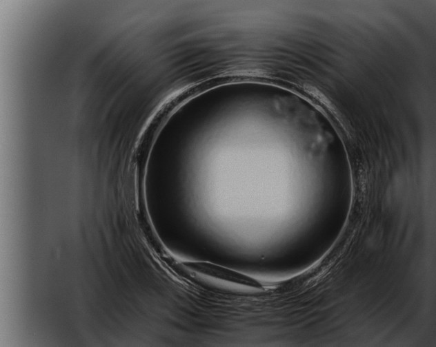 X0000052601123200507160004