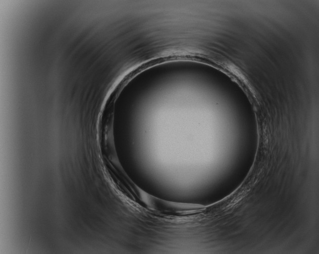 X0000052601124200507160004