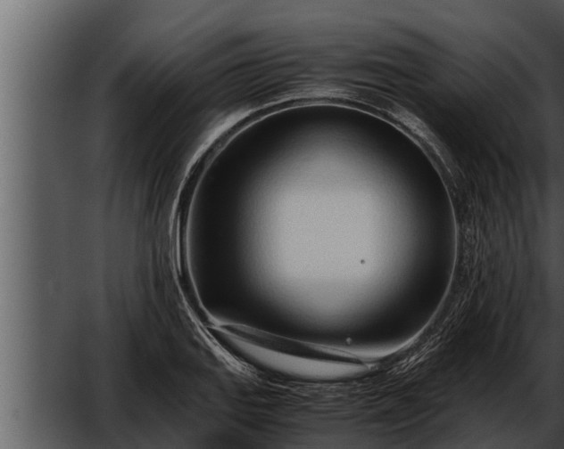 X0000052601127200507160004