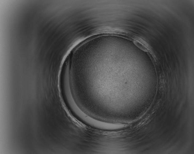 X0000052601128200507160004