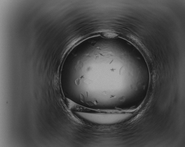 X0000052601129200507160004