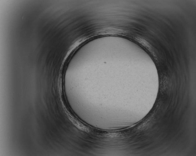 X0000052601130200507160004