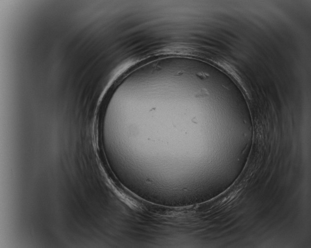 X0000052601131200507160004