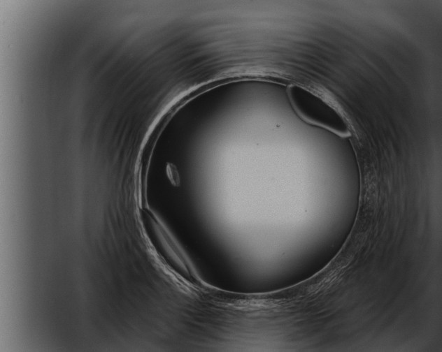 X0000052601132200507160004