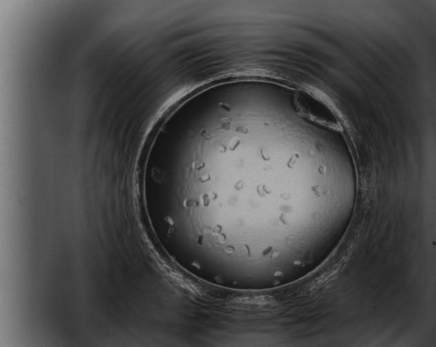 X0000052601133200507160004