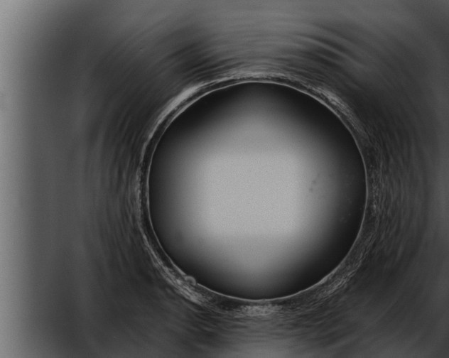 X0000052601134200507160004