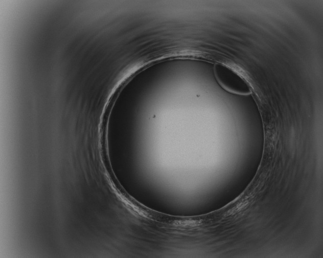 X0000052601135200507160004