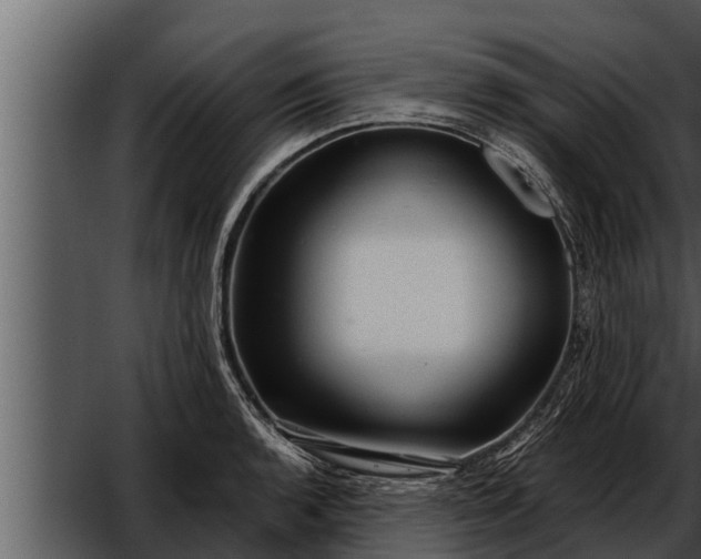 X0000052601136200507160004