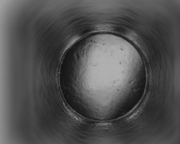 X0000052601137200507160004