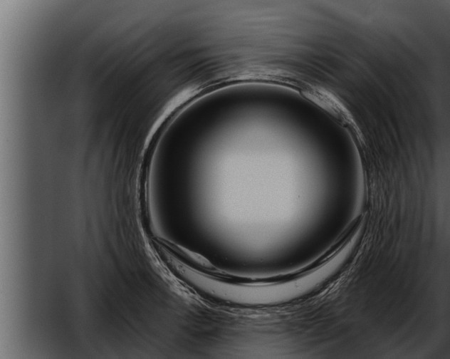 X0000052601138200507160004