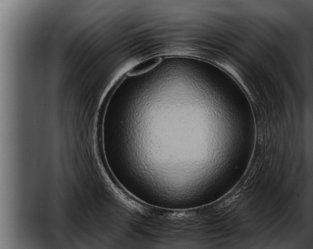 X0000052601139200507160004