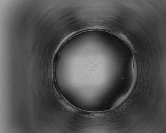 X0000052601140200507160004