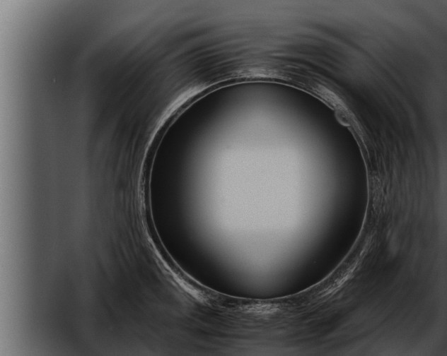 X0000052601141200507160004