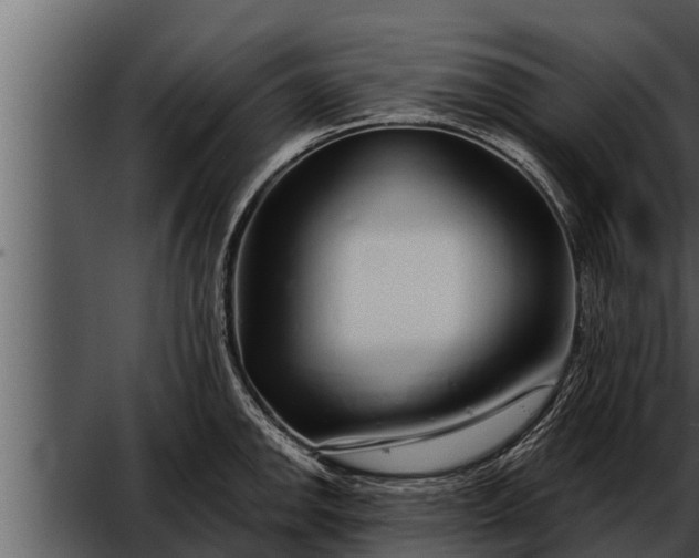 X0000052601142200507160004