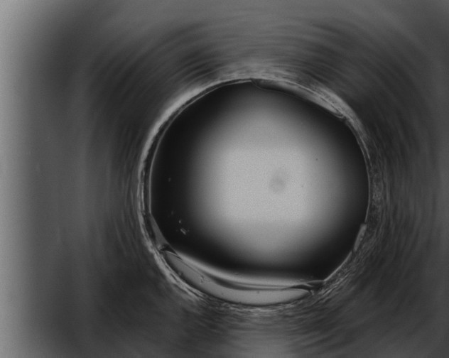 X0000052601144200507160004