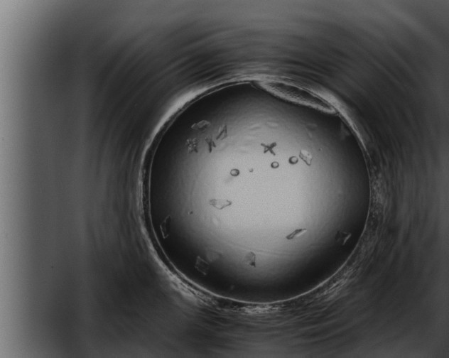 X0000052601147200507160004