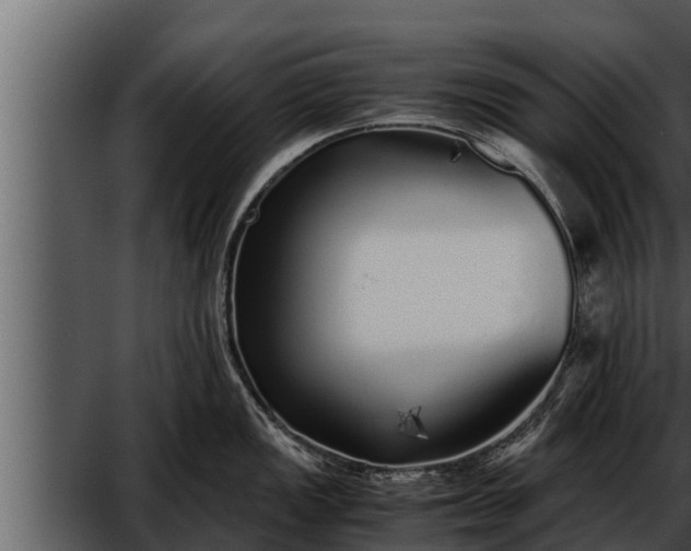 X0000052601149200507160004