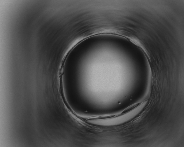 X0000052601151200507160004