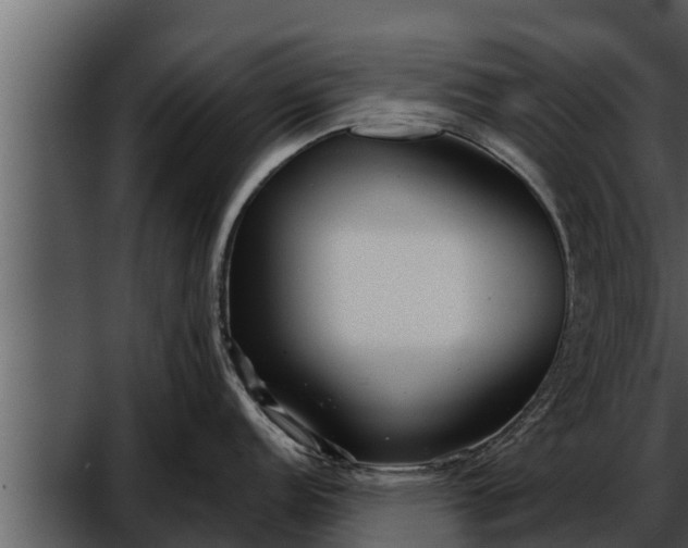 X0000052601152200507160004