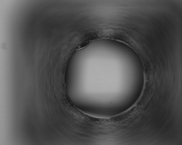 X0000052601153200507160003